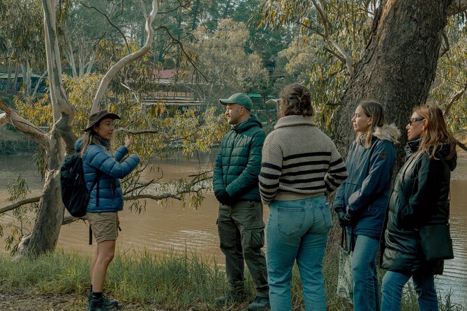 Melbourne Tours Walk the Yarra & Historic Boathouse Lunch - Key highlights worth booking for