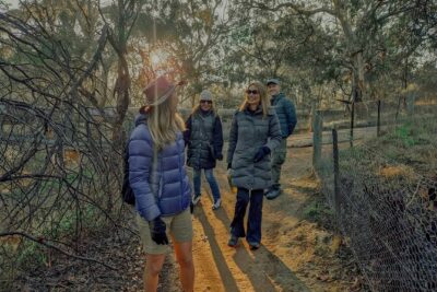 Melbourne Tours Walk the Yarra & Historic Boathouse Lunch - Flying fox colony time: up close to a major urban wildlife story