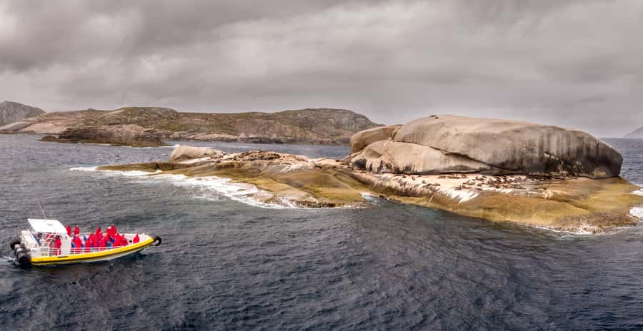 Melbourne: Wilsons Promontory Morning Wilderness Cruise - Who This Tour Fits Best