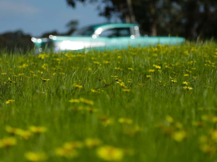 Melbourne: Yarra Valley Food & Wine Tour in a '56 Chevrolet - TarraWarra and the afternoon flow: seeing more without overstuffing the day