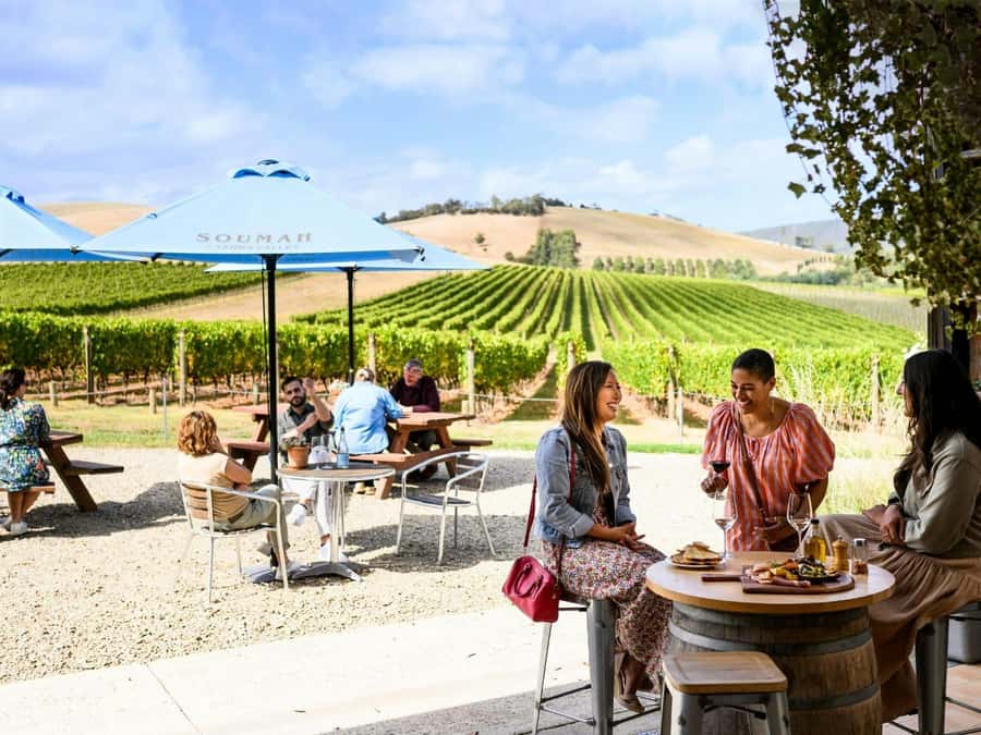 Melbourne: Yarra Valley Half-Day Wine Tour - Meeting at Arts Centre Melbourne and getting comfortable fast