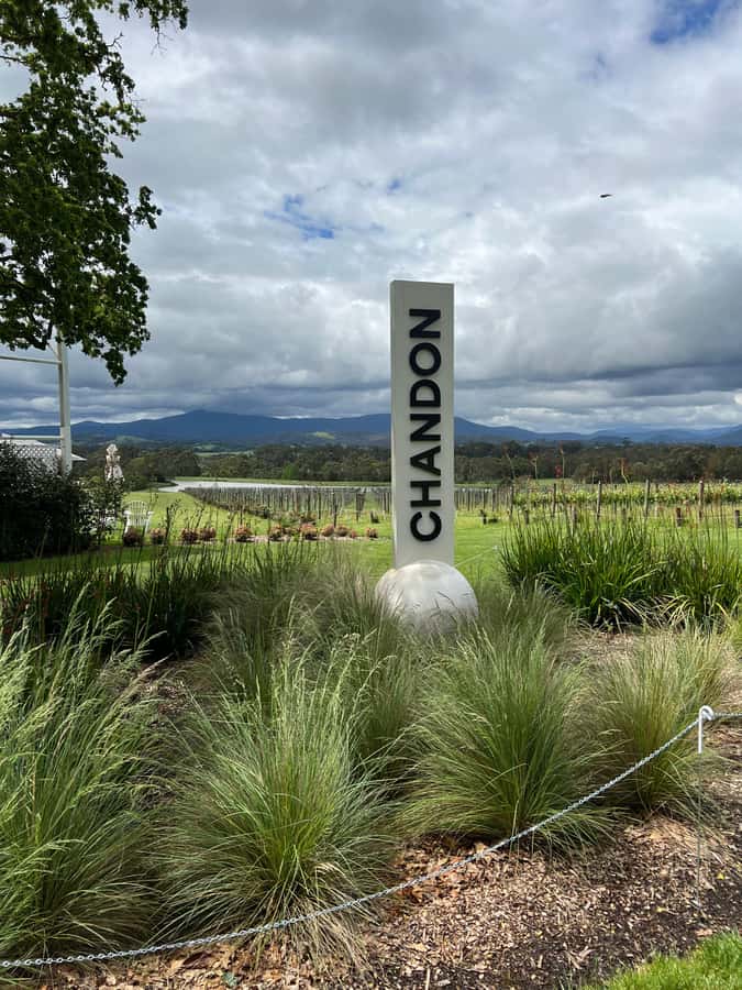 Melbourne: Yarra Valley Wineries Private Day Tour - A private 7-hour escape from Melbourne’s pace