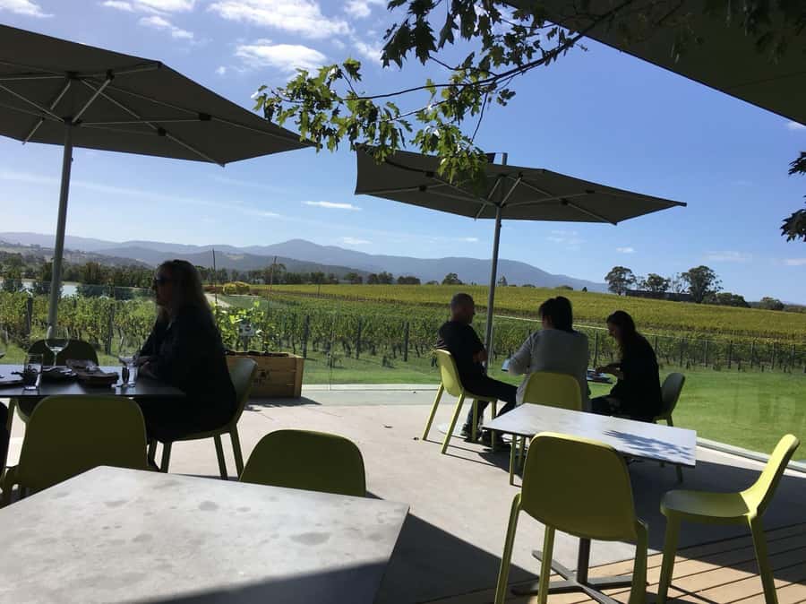 Melbourne: Yarra Valley Wineries Private Day Tour - Wine tastings, timing, and how to avoid sticker shock