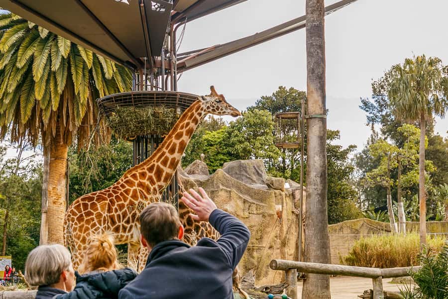 Melbourne Zoo: 1-Day Entry Ticket - Key things to know before you go