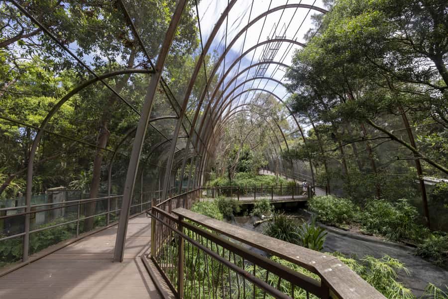 Melbourne Zoo: Australian Wildlife Experience Ticket - Kangaroos in the Exhibit: The Behind-the-Scenes Part You Actually Came For