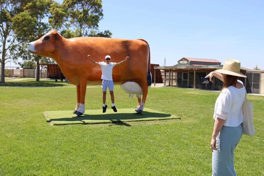 Melbourne：Phillip Island Tour 1 Day Tour - Maru Koala and Animal Park (extra ticket): seeing wildlife beyond koalas