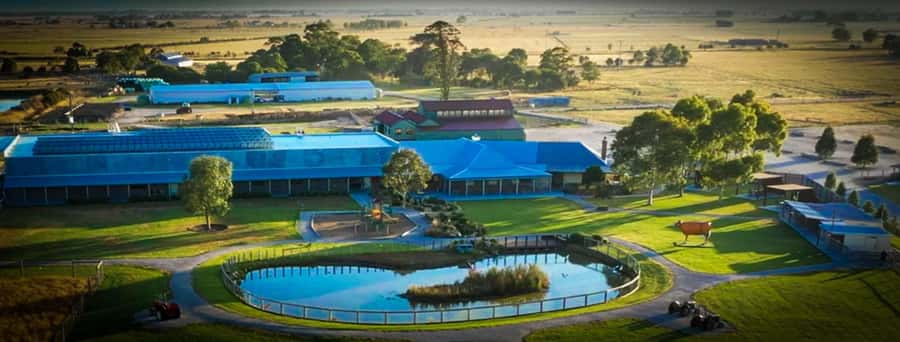 Melbourne：Phillip Island Tour 1 Day Tour - Making the day smoother: coach pacing, languages, and timing tips
