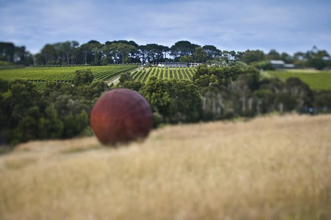 Montalto Vineyard: Mornington Peninsula Discovery Wine Tasting and Lunch - After lunch: the Montalto sculpture garden walk