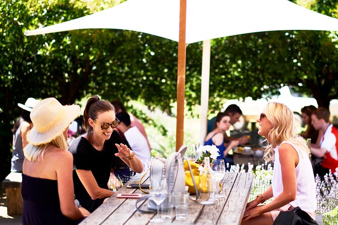 Montalto Vineyard: Mornington Peninsula Discovery Wine Tasting and Lunch - Who should book—and who might skip it