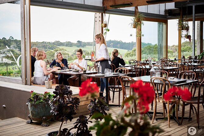 Montalto Vineyard: Mornington Peninsula Discovery Wine Tasting and Lunch - Should you book the Montalto Discovery experience?