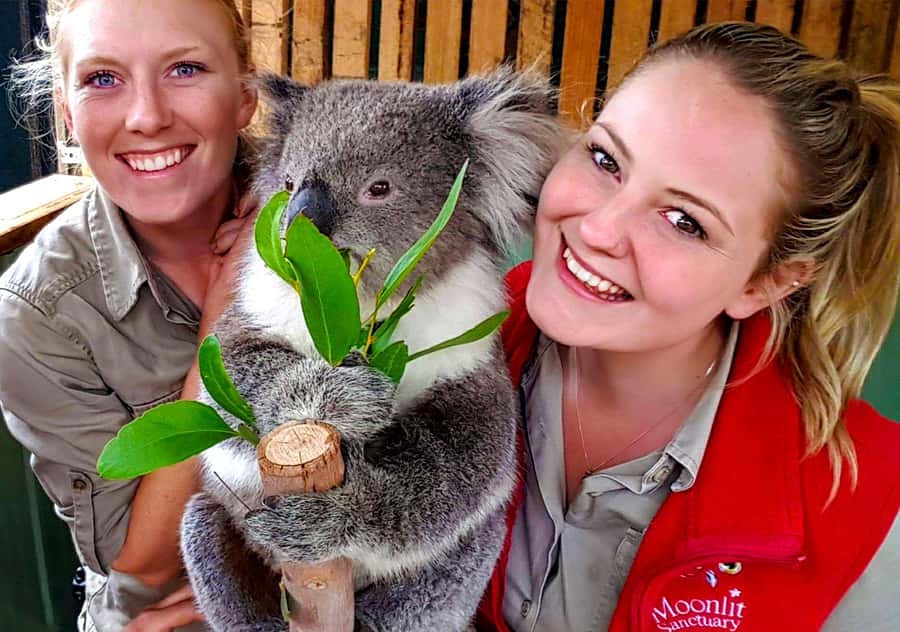 Moonlit Sanctuary Conservation Park Entry Ticket - What Your $24 Ticket Really Includes (and what might cost extra)