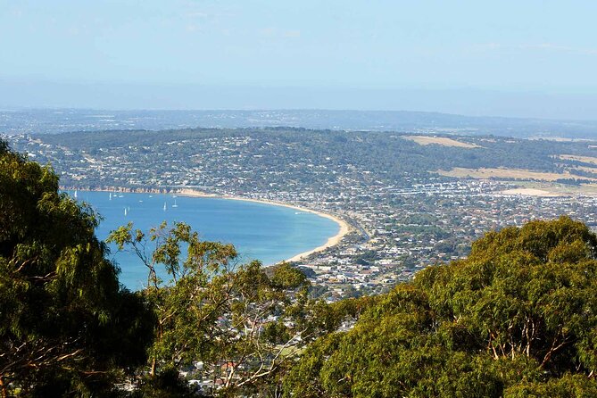 Mornington Peninsula Boutique Wine and Lunch Small Group Tour - Price at $138.79: Is It Worth It?