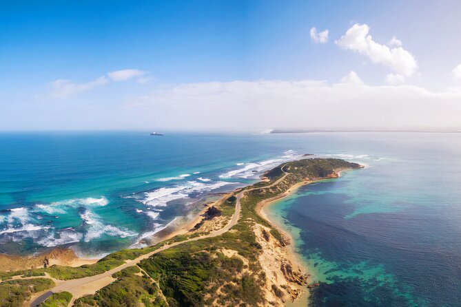 Mornington Peninsula Coastal Discovery Tour from Melbourne - Leaving Melbourne at 10:00 with less stress built in