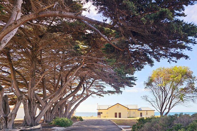 Mornington Peninsula Coastal Discovery Tour from Melbourne - Who should book (and who might prefer something else)