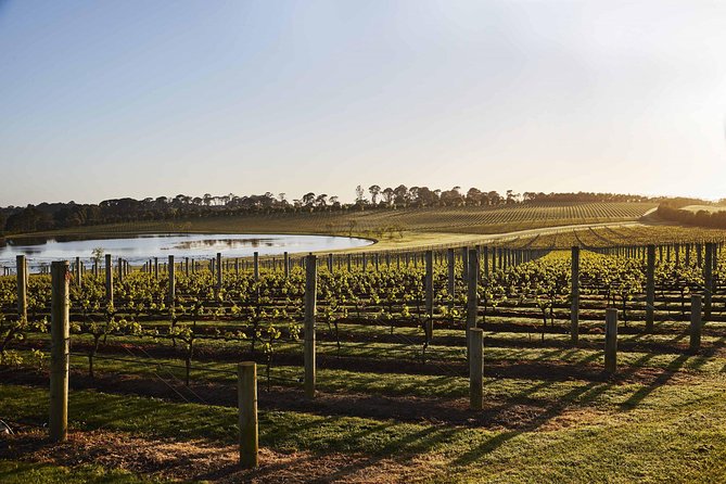 Mornington Peninsula Food and Wine Taste Trail - Mornington Peninsula, with tastings and viewpoints built in