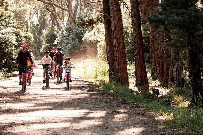 Mornington Peninsula guided e-bike tour - Key points to know before you go