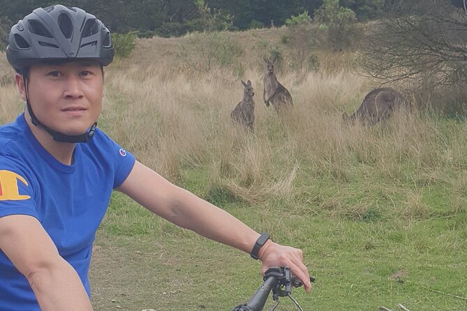 Mornington Peninsula guided e-bike tour - Red Hill-Merricks Rail Trail: the satisfying finish
