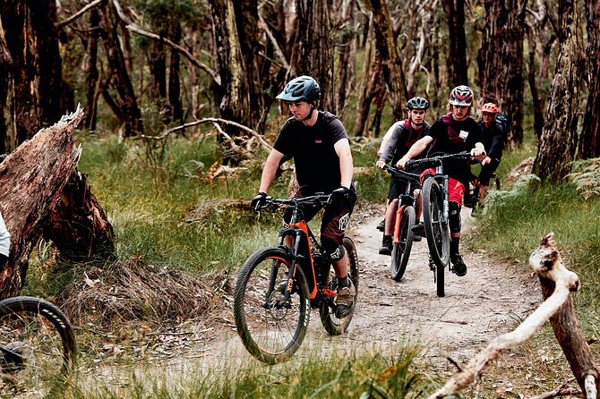 Mornington Peninsula guided e-bike tour - Price and value: what $88.28 covers (and why it adds up)