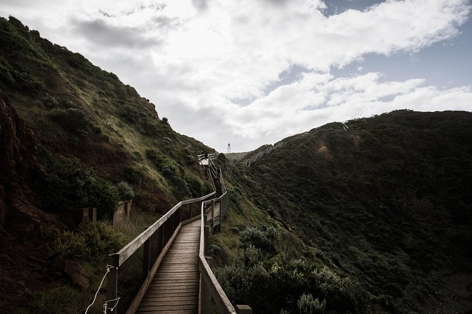 Mornington Peninsula Hike and Hot Springs Day Tour - 8 people max - Price and value: what $189.16 covers (and what might cost extra)