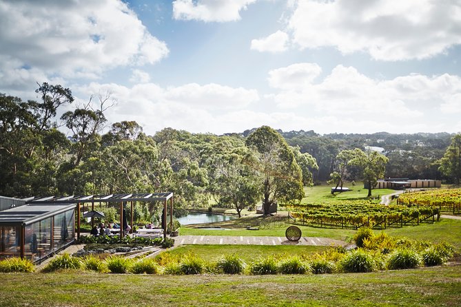 Mornington Peninsula Luxury Lunch, Wine Tasting & Pt Leo Art Walk - Quealy Winemakers Barrel Room Tasting