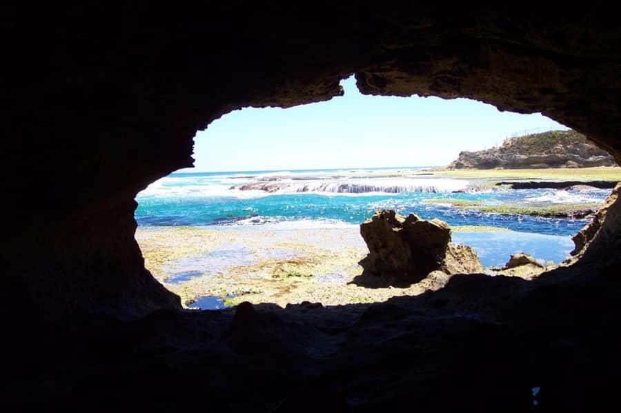 Mornington Peninsula Private Day Tour - Key Things You’ll Notice on This Private Mornington Tour