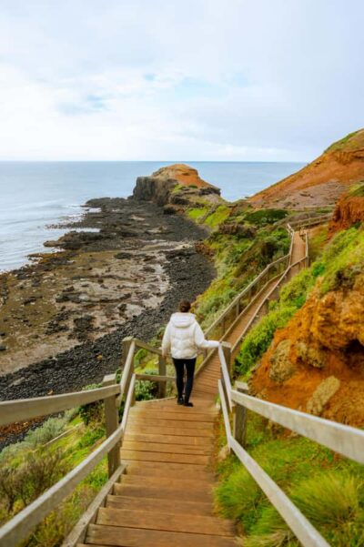 Mornington Peninsula Private Day Tour - Cape Schanck Lighthouse and the Boardwalk to Black Rock Beach
