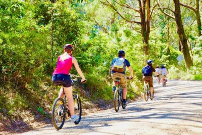 Mornington Peninsula Self-Guided Bike Tour | Food & Wine Region - Red Hill tastings and lunch: orchards, cider, and a BBQ stop