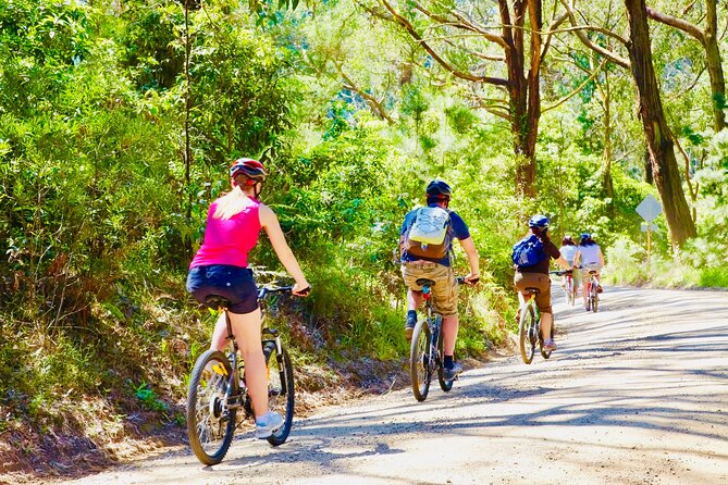 Mornington Peninsula Self-Guided Bike Tour | Food & Wine Region - Red Hill tastings and lunch: orchards, cider, and a BBQ stop