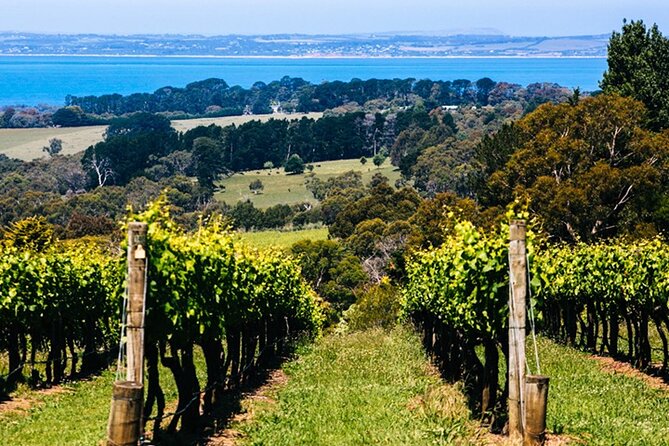 Mornington Peninsula Winery, Beer and Spirits Tour - Group size, pacing, and the hidden value of not feeling rushed