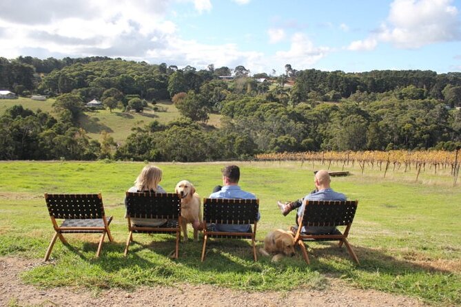 Mornington Peninsula Winery, Beer and Spirits Tour - Who this Mornington Peninsula tour fits best