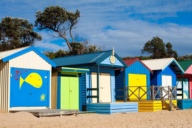 Mornington Peninsula Winery Bus Tour including lunch with a glass of wine - Stop 1: Red Hill Estate and those sweeping views over Westernport Bay