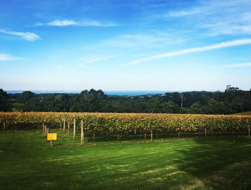 Mornington Peninsula Winery Bus Tour with Lunch & Wine - Tips to Get the Most Out of Your Day