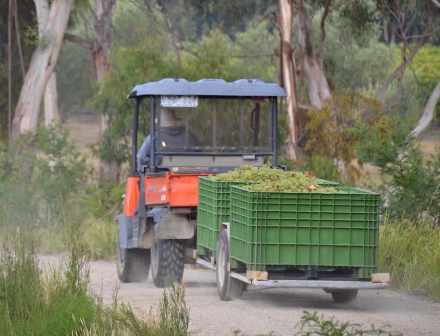 Mornington Peninsula Winery Bus Tour with Lunch & Wine - Panoramic Views and the End-of-Day Sights