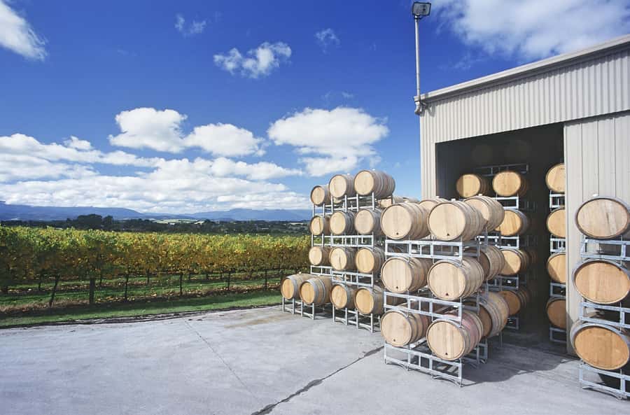 Mornington Peninsula Winery Bus Tour with Lunch & Wine - What to Watch For: The Most Common Drawbacks
