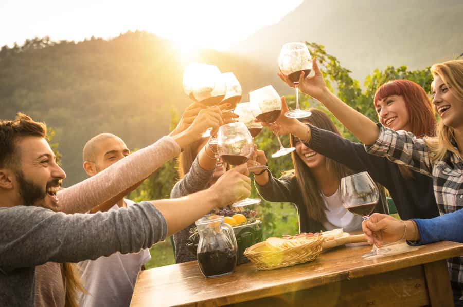 Mornington Peninsula Winery Bus Tour with Lunch & Wine - Who This Tour Is Best For (and Who Should Skip)