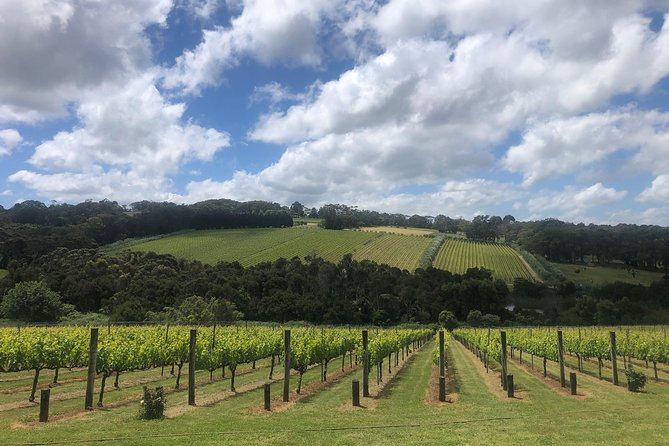 Mornington Peninsula Winery Tour - Lunch Included - Stop 3: Pier 10 Tastings for a Fresh Change of Pace