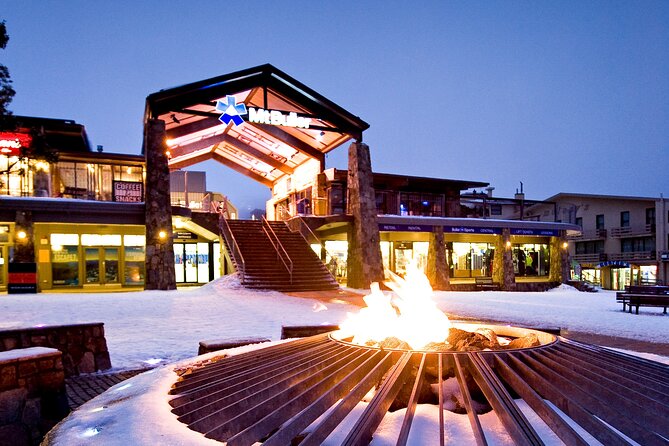 Mount Buller Sightseeing Tour - The real point of this Mt Buller day trip