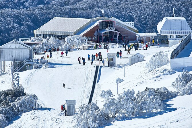 Mount Buller Sightseeing Tour - Getting to Mt Buller: arrive by 10.30–11am for a real snow day