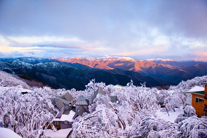 Mount Buller Sightseeing Tour - The long return: 3:30pm prep, 4pm departure, then Melbourne again
