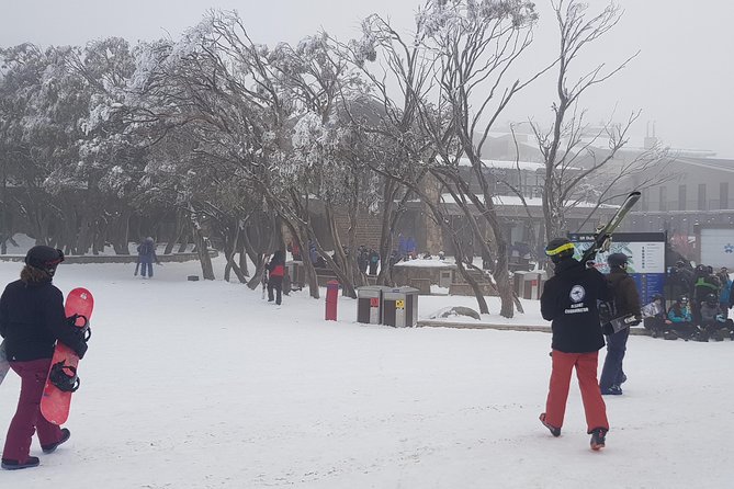 Mt Buller Day Trip from Melbourne - Why a car-free Mt Buller winter day works