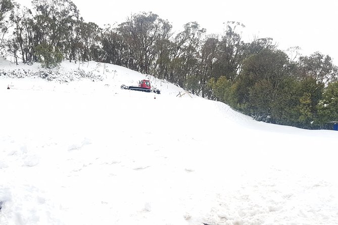 Mt Buller Day Trip from Melbourne - Drop-off and the ride back: quick returns, no extra stops you didn’t ask for