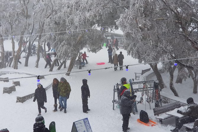 Mt Buller Day Trip from Melbourne - What you can do with 7 hours on the snow (without overcommitting)