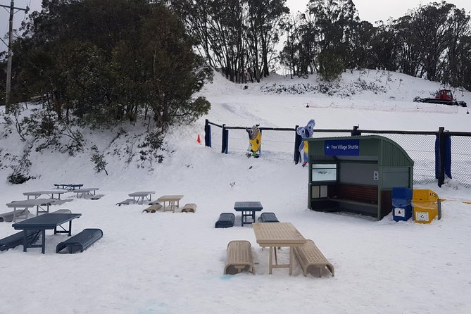 Mt Buller Day Trip from Melbourne - Who this Mt Buller day trip fits best
