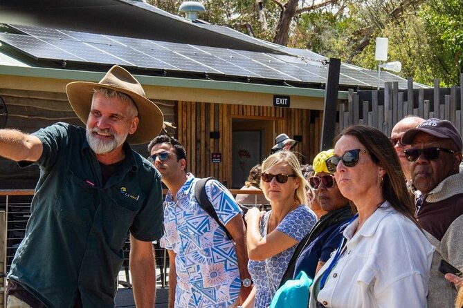 Penguin Parade, & Wildlife Encounters Eco Tour from Melbourne - Penguin Parade at Phillip Island: rules, sightlines, and what actually matters