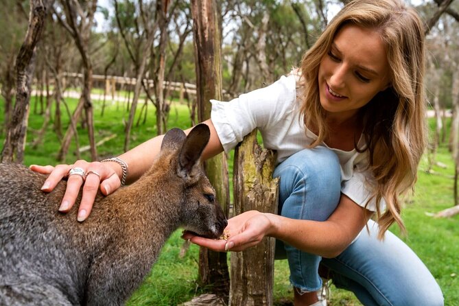 Peninsula Nature Tour - Key things to know before you go