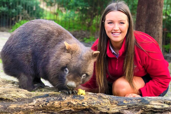 Peninsula Nature Tour - Moonlit Sanctuary Wildlife Conservation Park: close encounters with Aussie icons