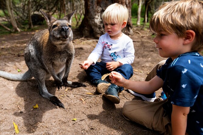 Peninsula Nature Tour - Price and value: what $312 gets you in the real world