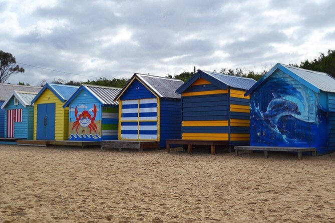Peninsula Nature Tour - Dendy Street Beach: multicolored huts and a fast 30-minute reset