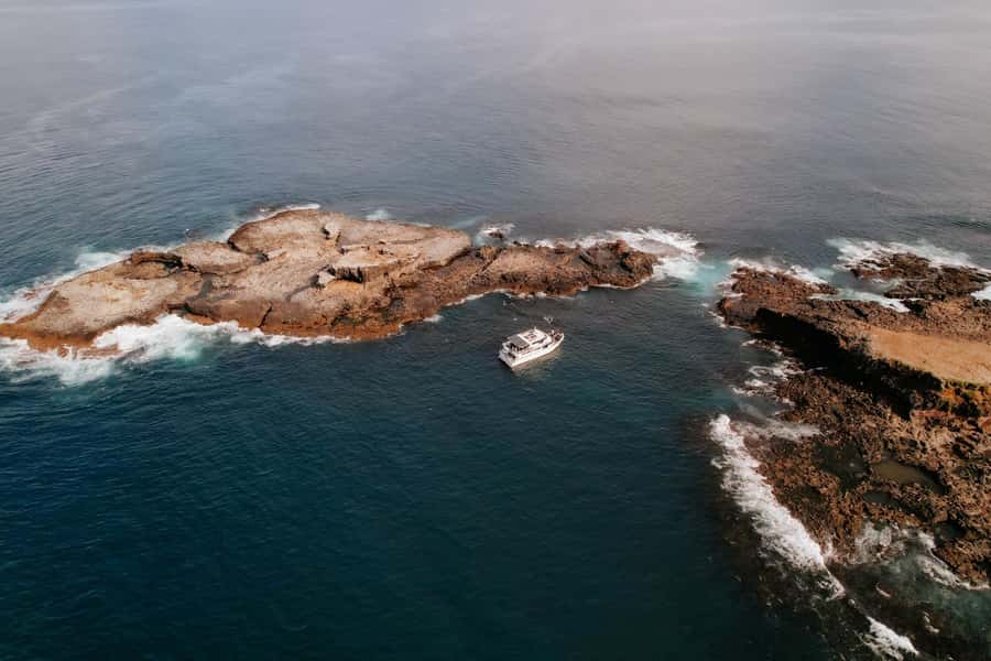 Philip Island: Seal Watching Cruise - Photos and Timing: Getting Shots Without Stress
