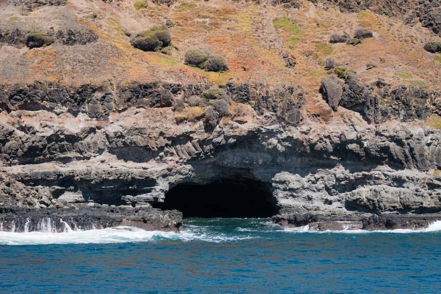 Philip Island: Seal Watching Cruise - Price and Value: Is $81 Worth It?